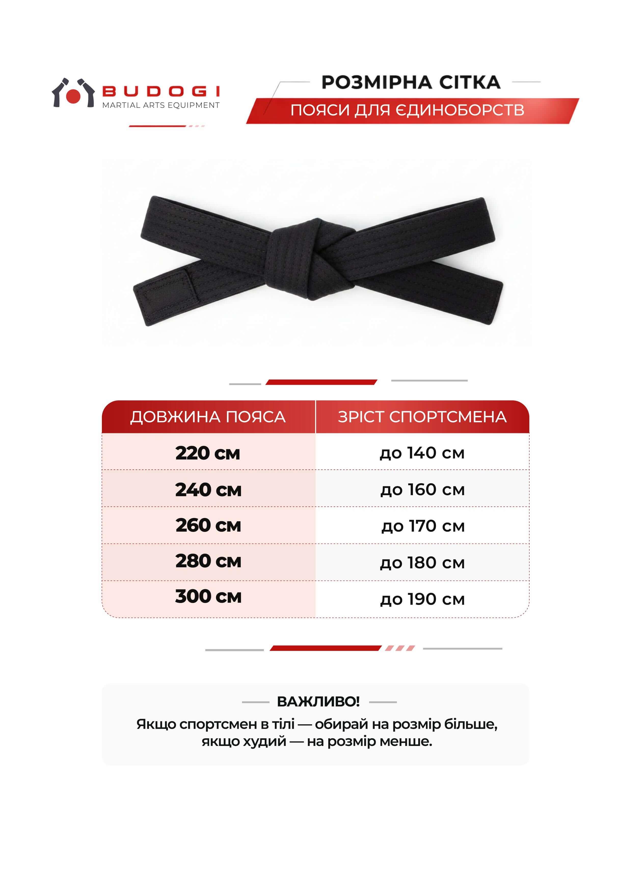 Зелений пояс для дзюдо ТМ BUDOGI, серія PRO, довжина 240 см 3